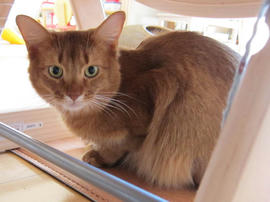 IMG04420.jpg