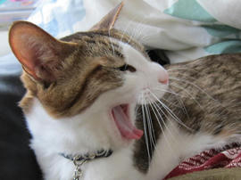 IMG04446.jpg
