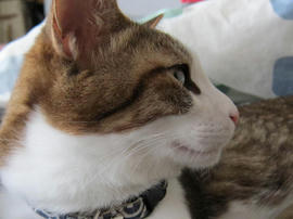 IMG04448.jpg