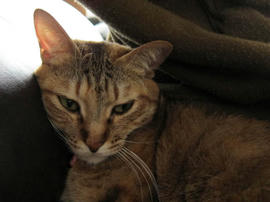 IMG04452.jpg