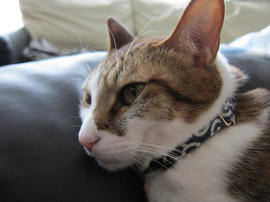 IMG04451.jpg