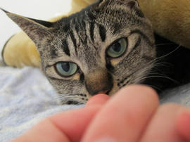 IMG04458.jpg