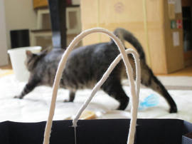 IMG04462.jpg