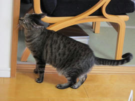 IMG04466.jpg
