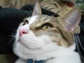 IMGP10522.jpg
