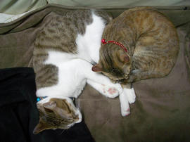 IMGP10527.jpg