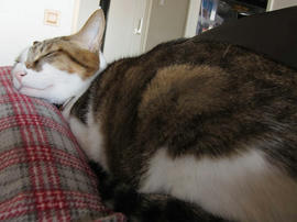 IMG01193.jpg