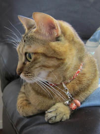 IMG04469.jpg