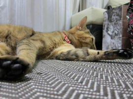 IMG04473.jpg