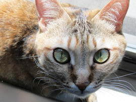 IMG04477.jpg