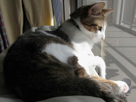 IMG01201.jpg