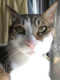 IMG01204.jpg
