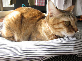IMG01209.jpg