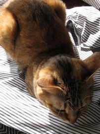 IMG01210.jpg