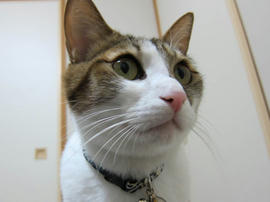 IMG01227.jpg