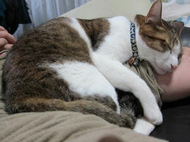 IMG04483.jpg