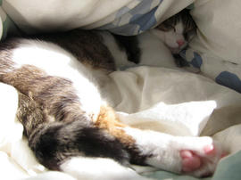 IMG01240.jpg