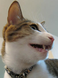 IMG01242.jpg