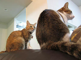 IMG01243.jpg
