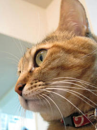 IMG01246.jpg