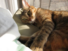 IMG01238.jpg