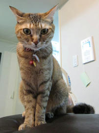 IMG01248.jpg