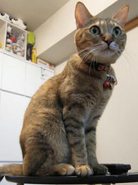 IMG01257.jpg