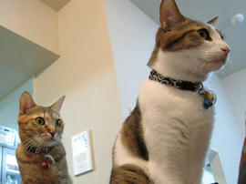 IMG01259.jpg