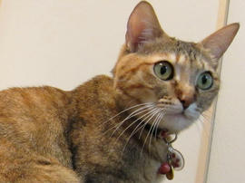 IMG01261.jpg