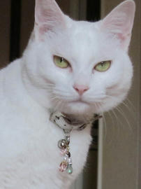 IMG04488.jpg