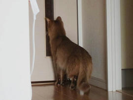 IMG04490.jpg