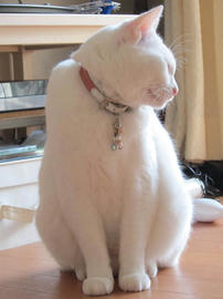 IMG04492.jpg