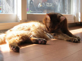 IMG04493.jpg