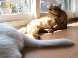 IMG04494.jpg