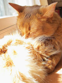 IMG04496.jpg