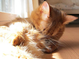IMG04498.jpg