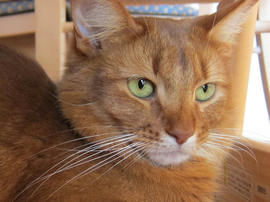 IMG04506.jpg