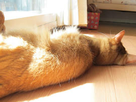IMG04499.jpg