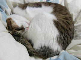 IMG04508.jpg