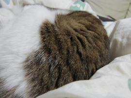 IMG04509.jpg