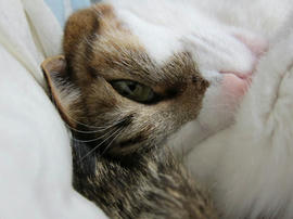IMG04510.jpg