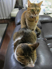 IMG04511.jpg