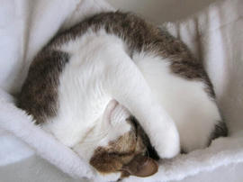 IMG04514.jpg