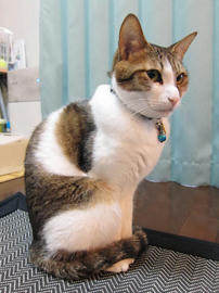 IMG01276.jpg