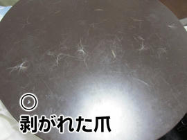IMG04520.jpg