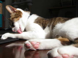 IMG01281_2.jpg
