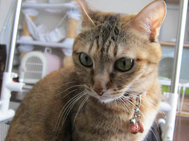 IMG04522.jpg