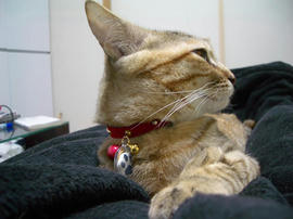 IMGP10581.jpg