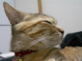 IMGP10582.jpg