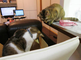 IMG01317.jpg